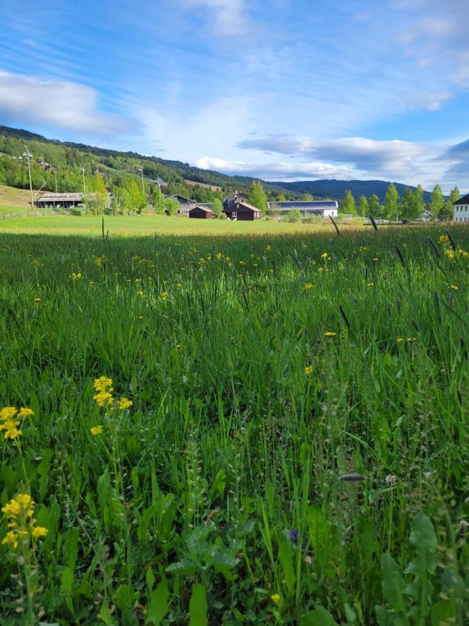 Friends & Family Apartment At Hafjell Alpinlandsby/Oyer Center Dış mekan fotoğraf