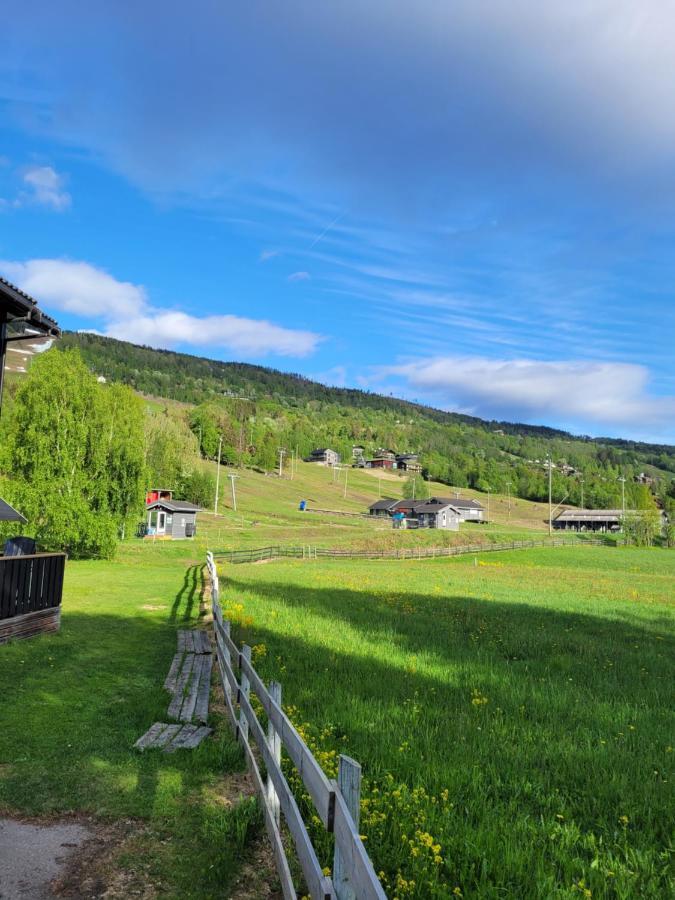 Friends & Family Apartment At Hafjell Alpinlandsby/Oyer Center Dış mekan fotoğraf